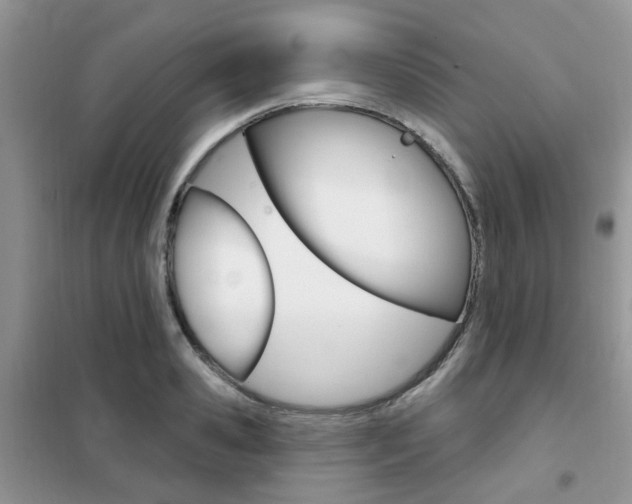 X0000102350941200808010932