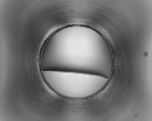 X0000102350942200808010932