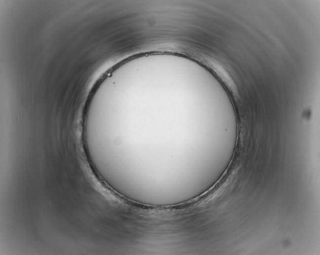 X0000102350944200808010932