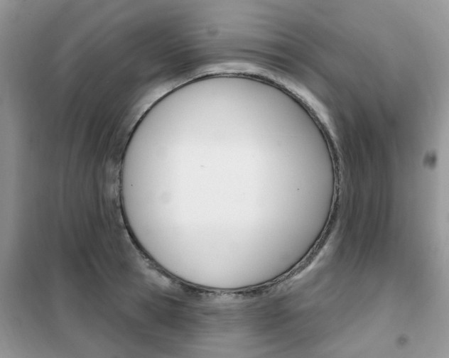 X0000102350945200808010932