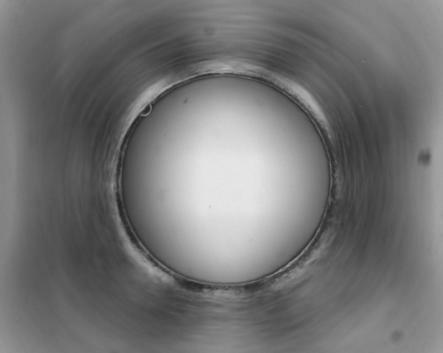 X0000102350946200808010932