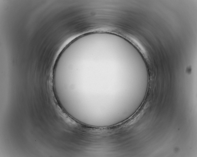X0000102350948200808010933
