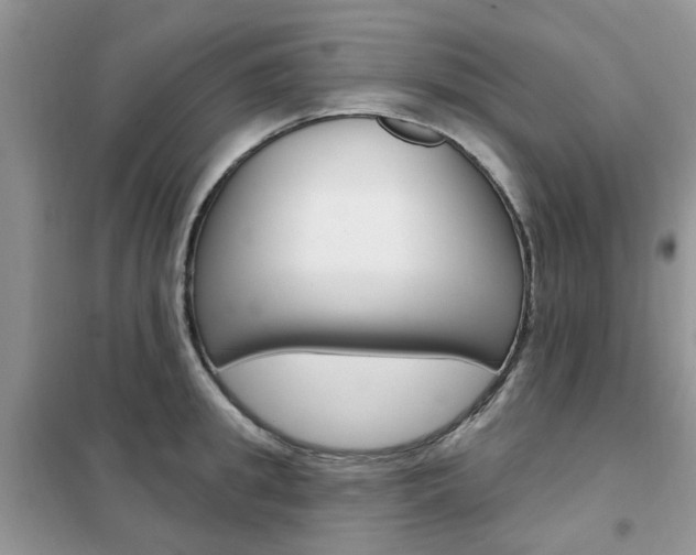X0000102350949200808010933