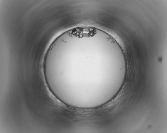 X0000102350950200808010933