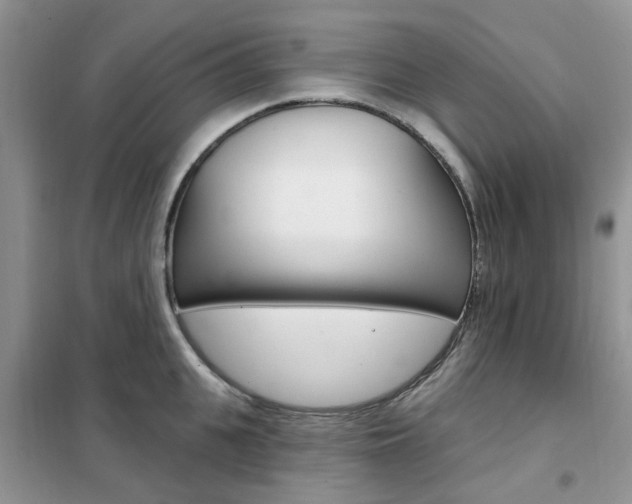 X0000102350951200808010933