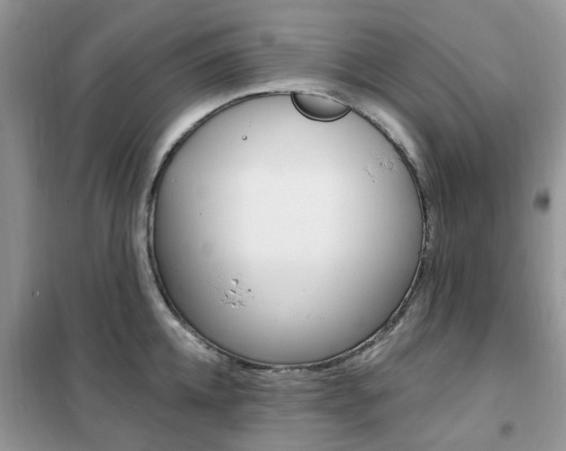 X0000102350952200808010933