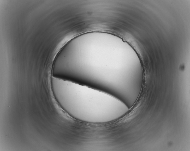 X0000102350954200808010933