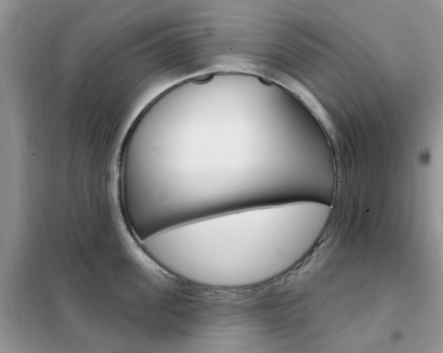 X0000102350955200808010933