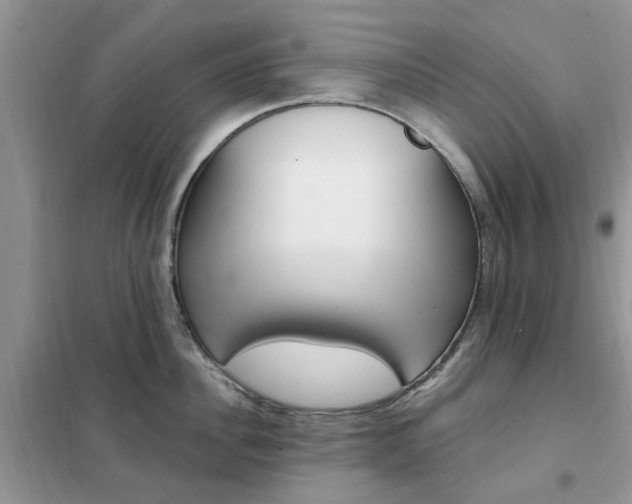 X0000102350956200808010933