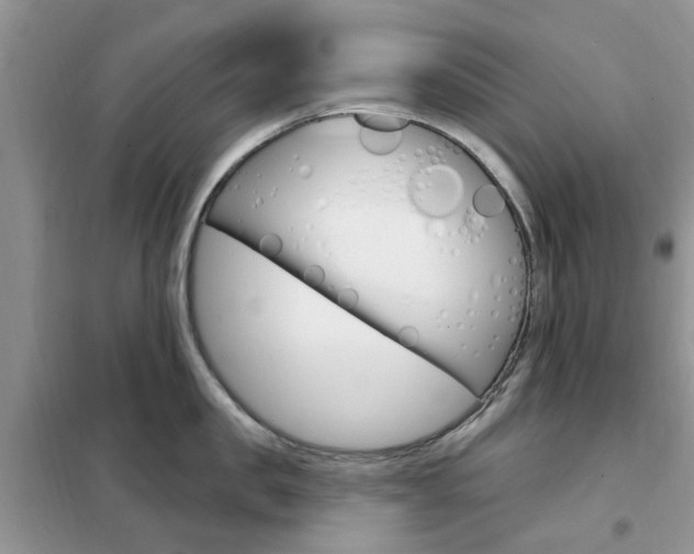 X0000102350957200808010933