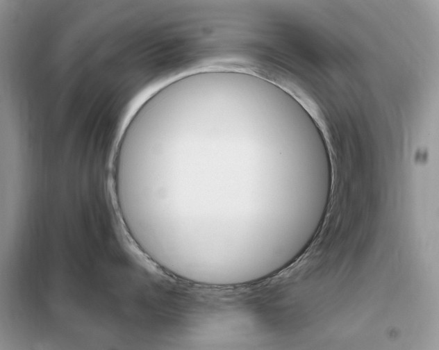 X0000102350960200808010933