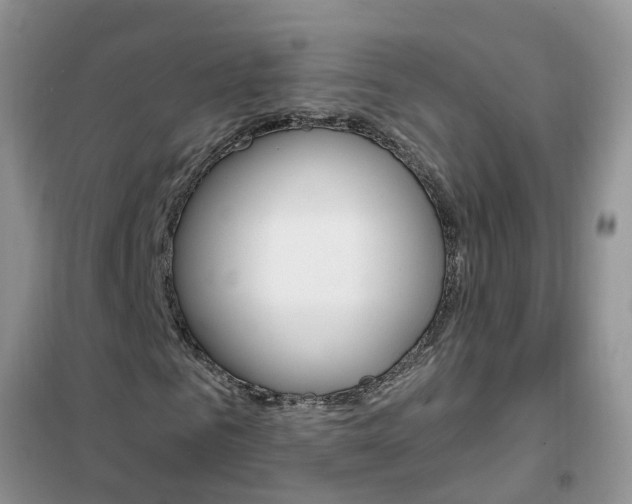 X0000102350961200808010932