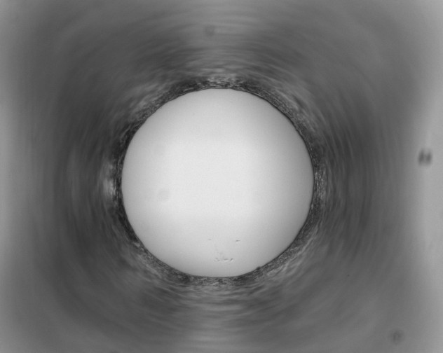 X0000102350962200808010932