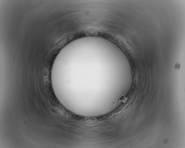 X0000102350964200808010932