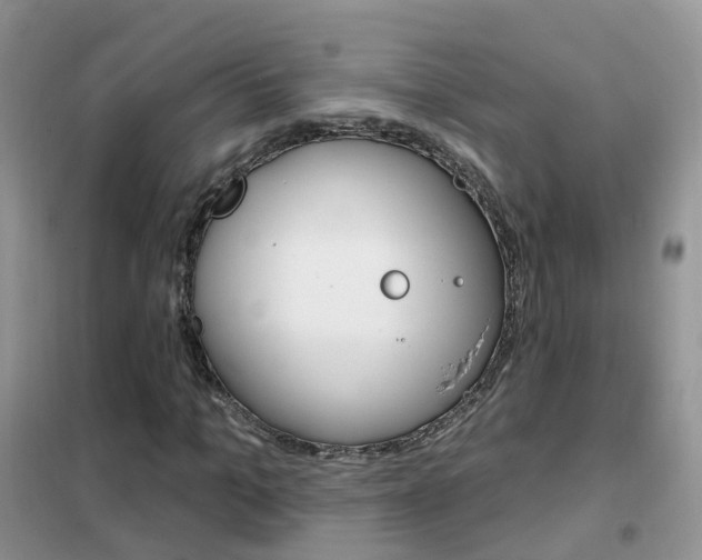 X0000102350965200808010932