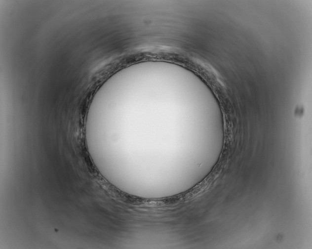 X0000102350966200808010932