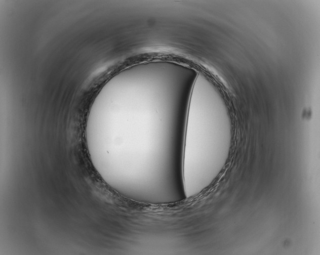 X0000102350967200808010932