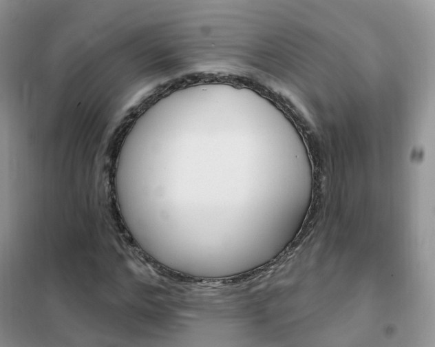 X0000102350968200808010932