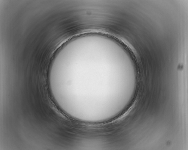 X0000102350969200808010932