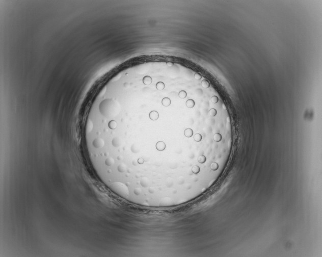 X0000102350974200808010932
