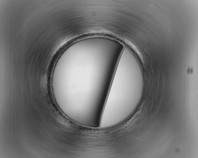 X0000102350975200808010932