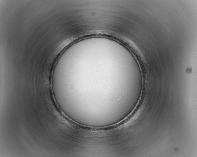 X0000102350977200808010932