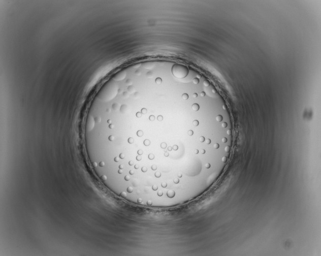 X0000102350978200808010932