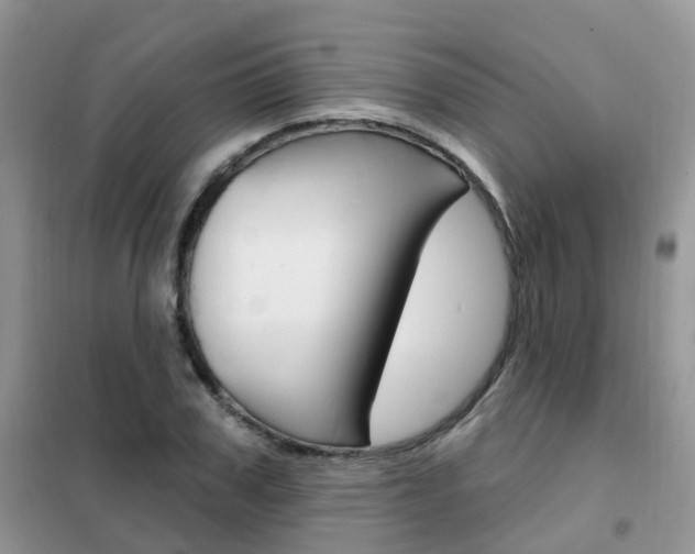 X0000102350979200808010932