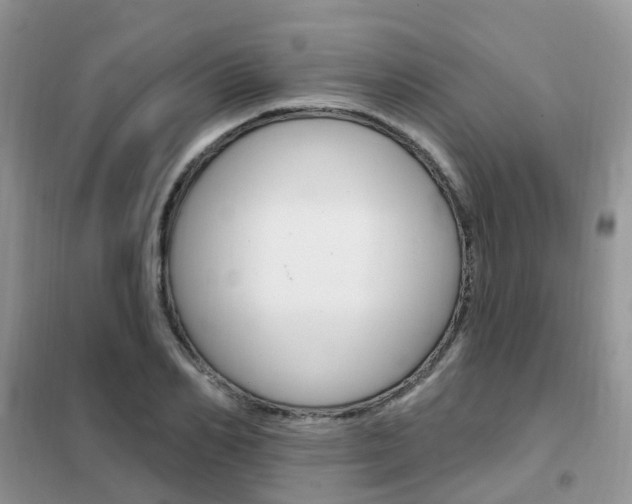 X0000102350982200808010932