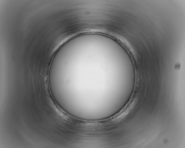 X0000102350985200808010932