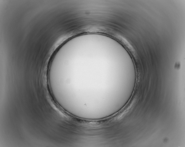 X0000102350986200808010932