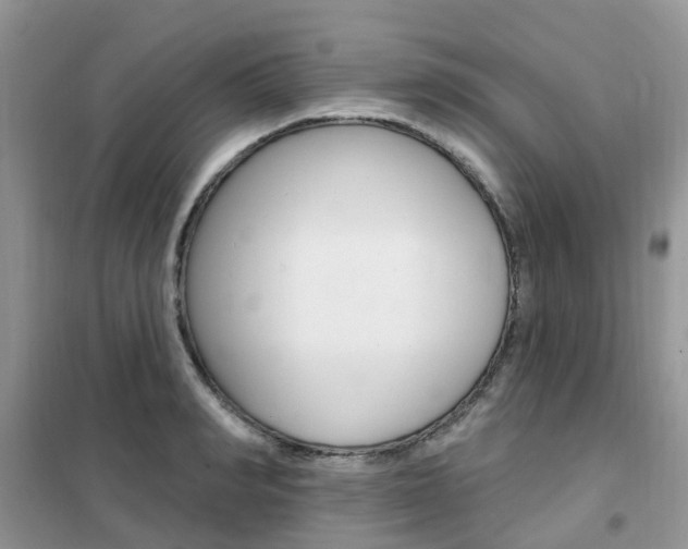 X0000102350990200808010932