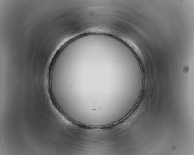 X0000102350992200808010932