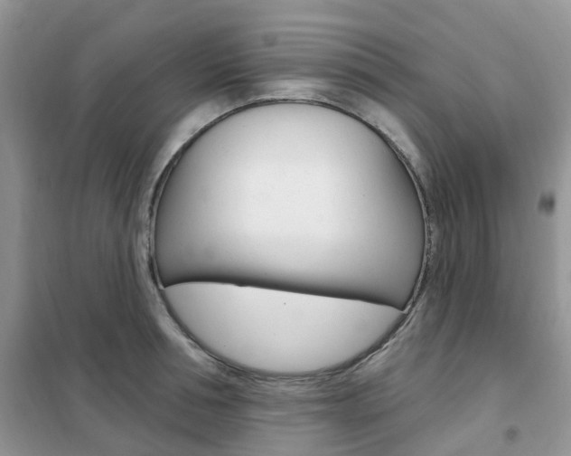 X0000102350994200808010932