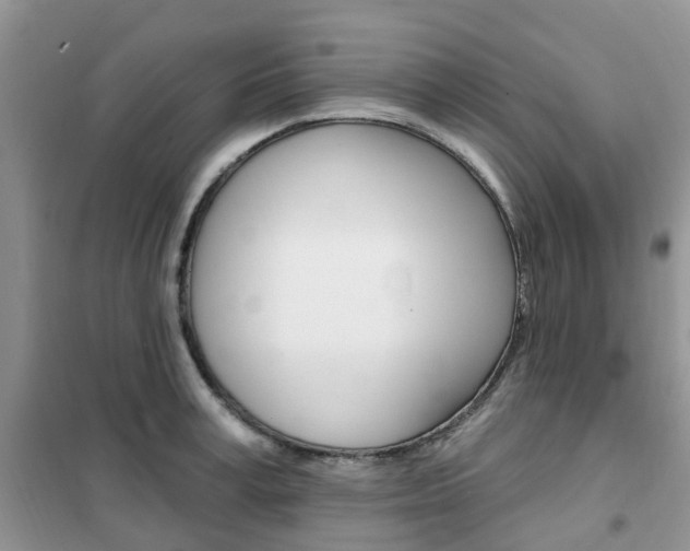 X0000102350995200808010932