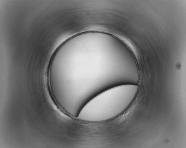 X0000102350999200808010931