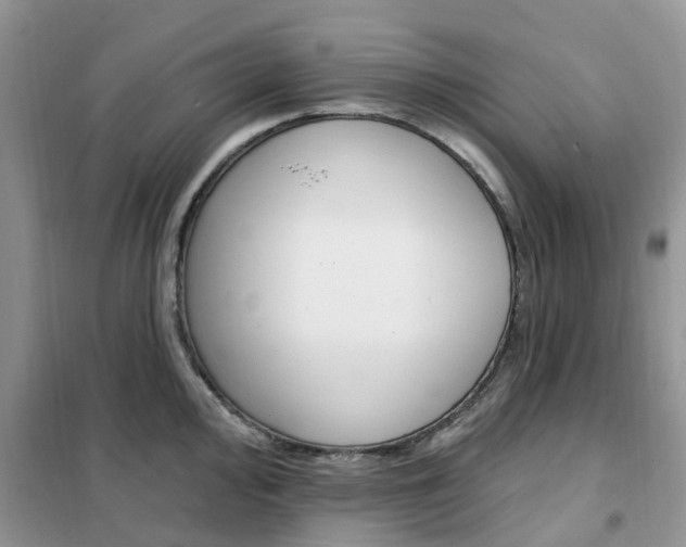 X0000102351000200808010931