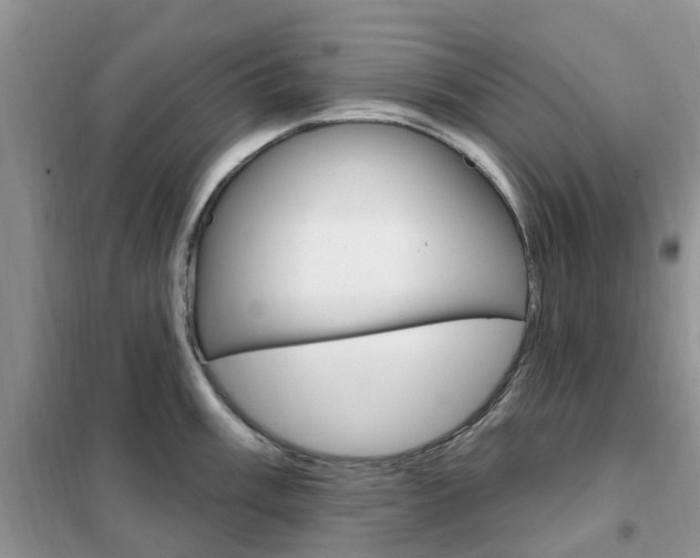 X0000102351003200808010931