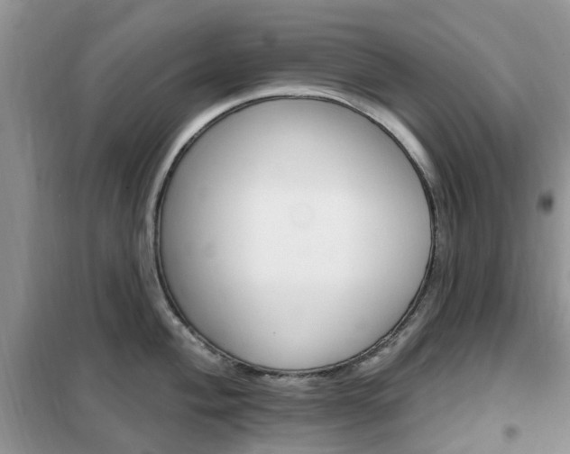 X0000102351004200808010931
