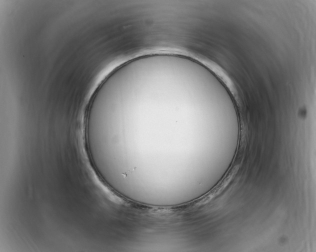X0000102351006200808010931
