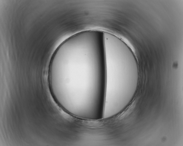 X0000102351007200808010931