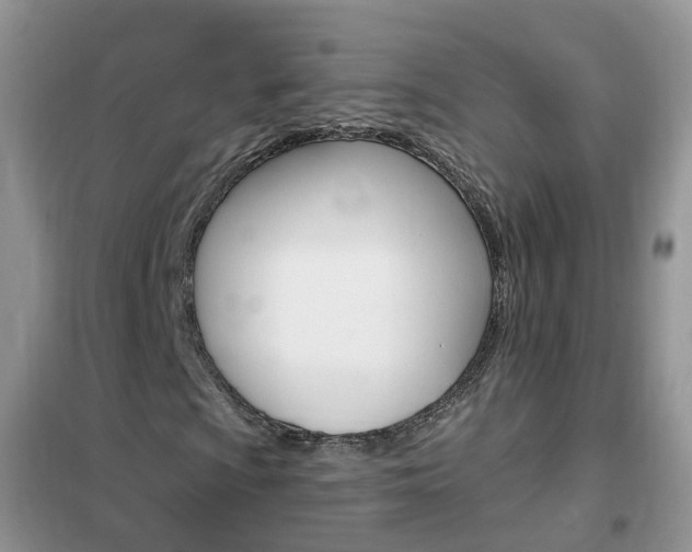 X0000102351009200808010931