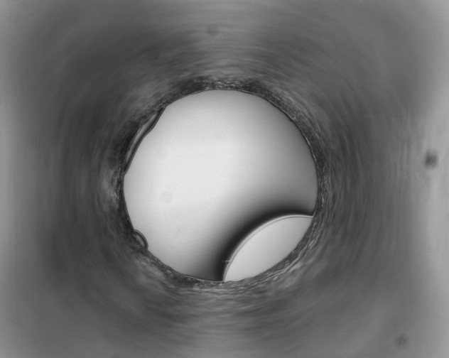 X0000102351010200808010931