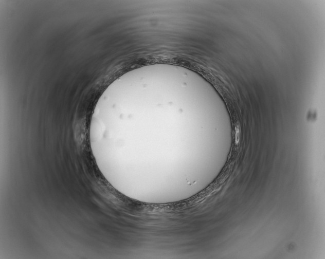 X0000102351011200808010931