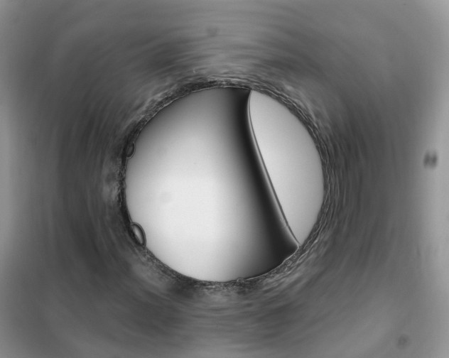 X0000102351012200808010931
