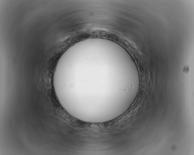 X0000102351013200808010931
