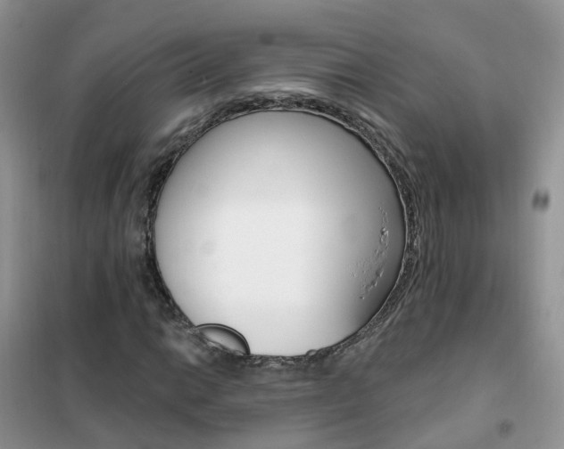 X0000102351014200808010931