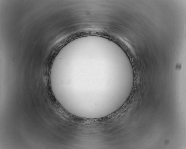 X0000102351015200808010931