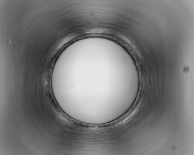 X0000102351017200808010931