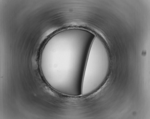 X0000102351018200808010931